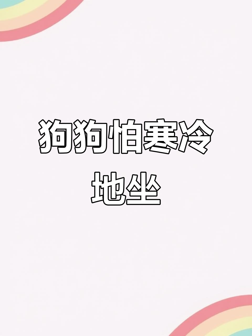 拉布拉多冷得坐地上,屁股冰凉冰凉的