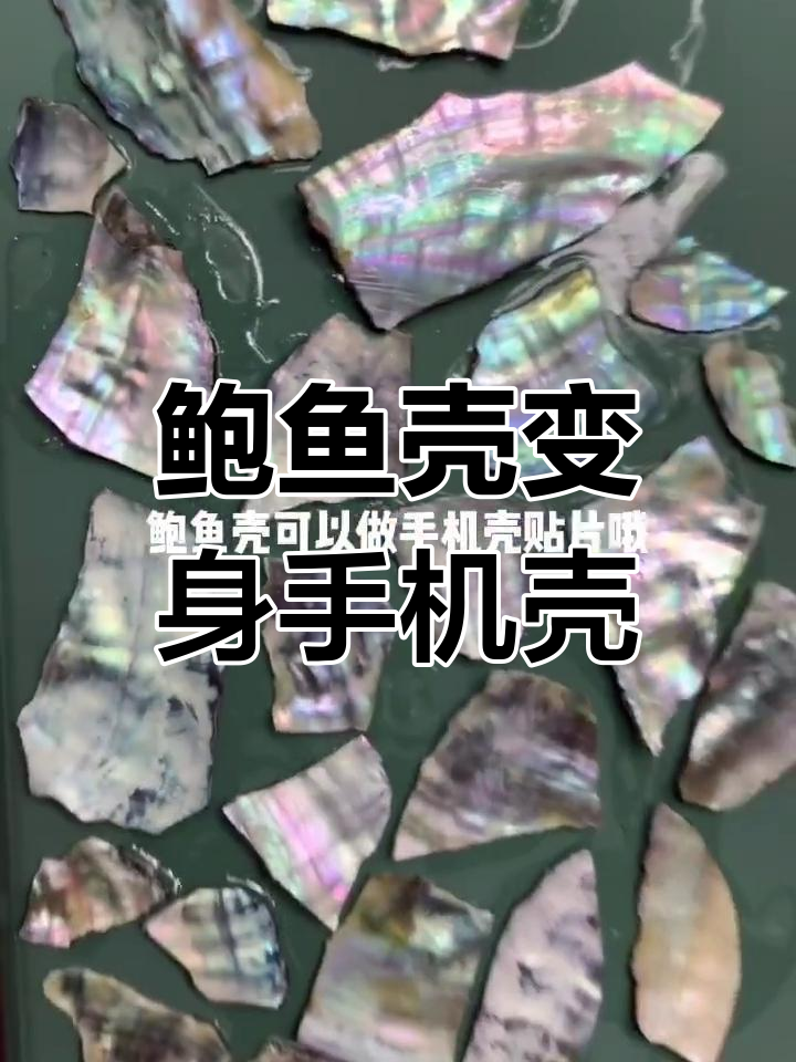 废鲍鱼壳变手机壳，DIY手工教程超简单