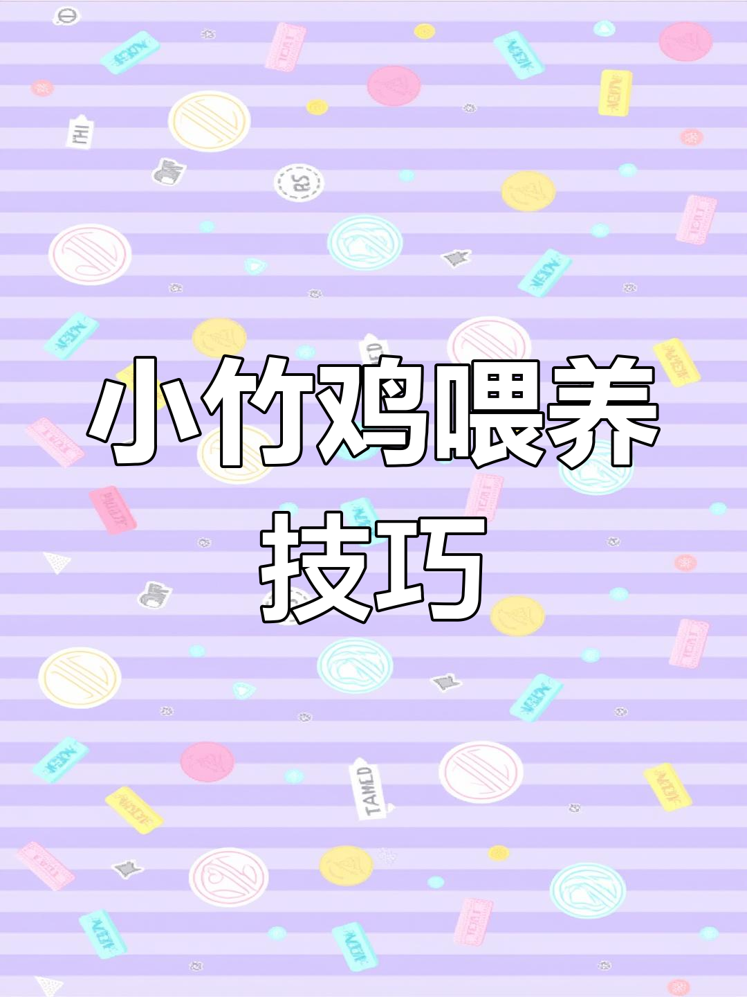 小竹鸡出壳后如何照顾?从喂水到驯养全攻略