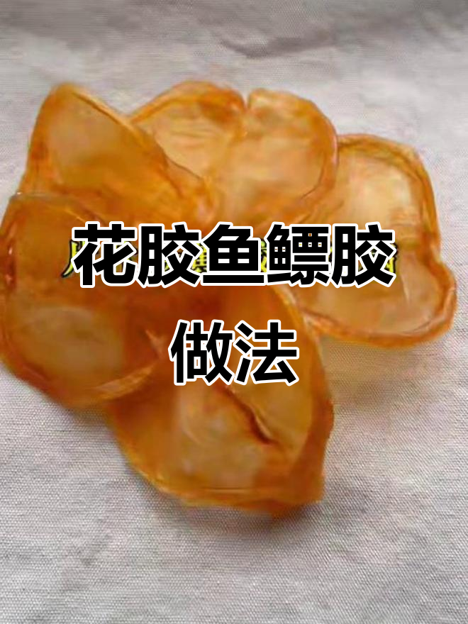 花胶鱼鳔胶制作全攻略，轻松学会这道美味