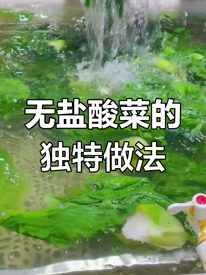 贵州无盐酸菜,自然发酵的家乡味