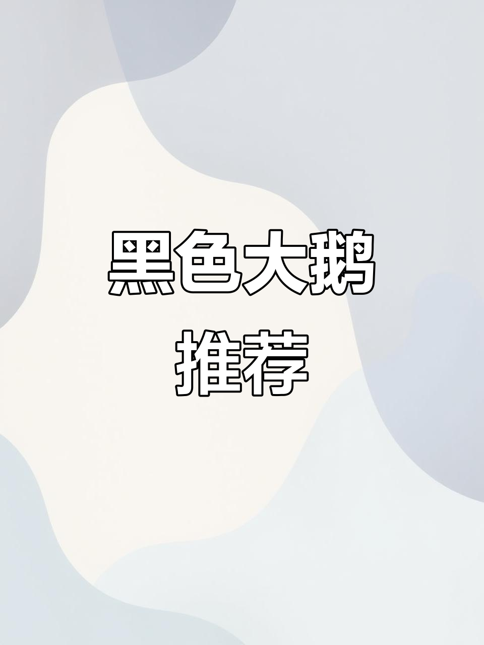 加拿大鹅黑色男款,经典MacMilan设计