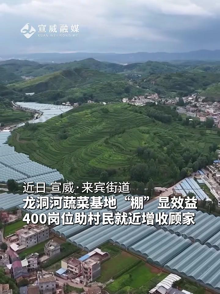 近年来，宣威市来宾街道围绕打造宣威“菜篮子”目标，建设1500亩龙洞河生态果蔬产业基地，成
