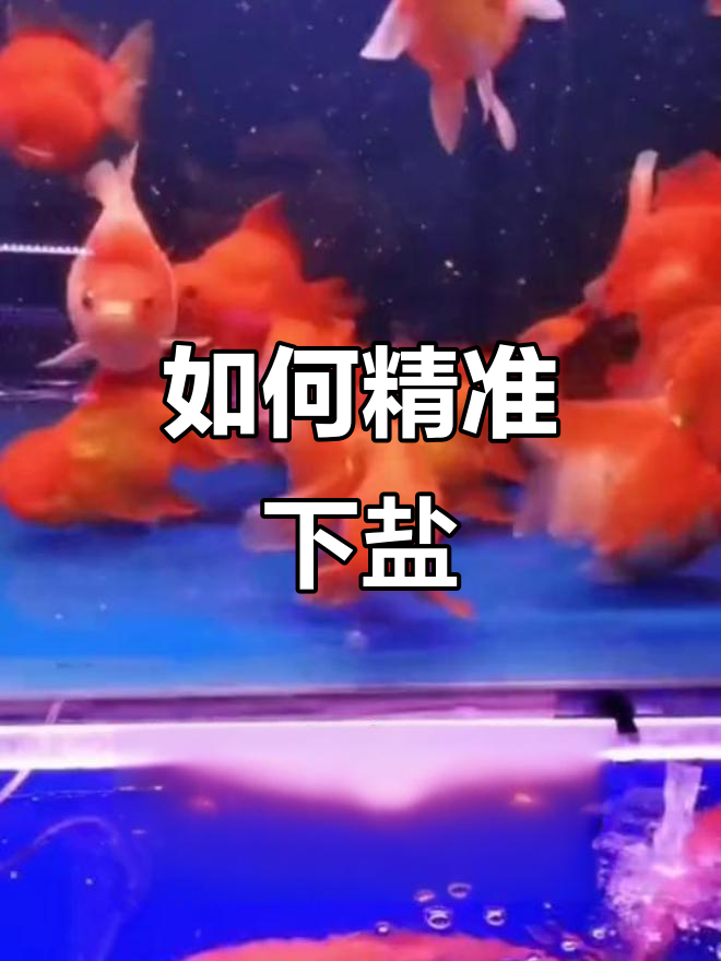 锦鲤鱼缸下盐技巧:如何正确计算用量,避免过多或过少