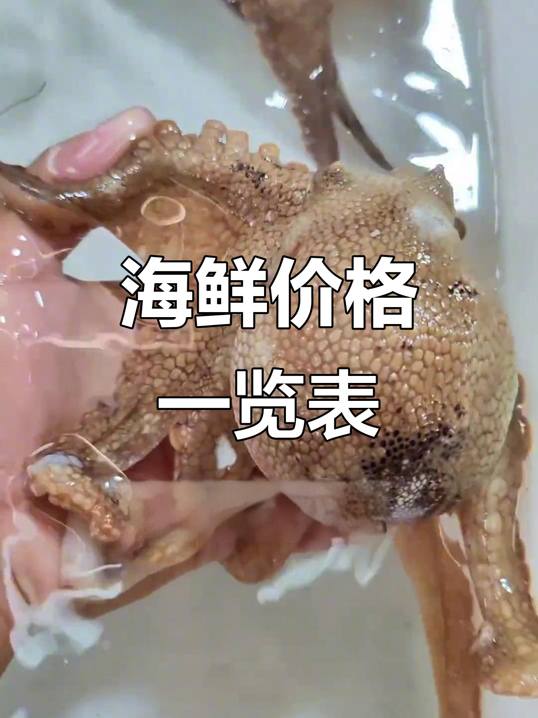 17种常见海鲜价格大揭秘,土豪鱼到平民螺全都有