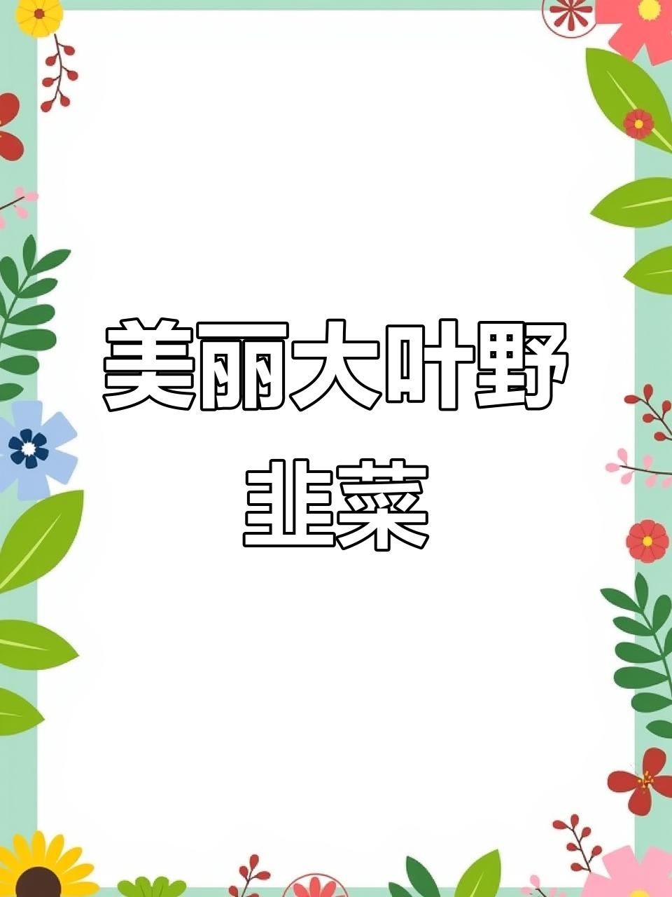 大叶野韭菜,美得让人舍不得吃