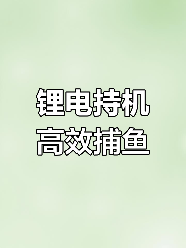 越南北部锂电池捕鱼神器,轻松捕获大量鱼类