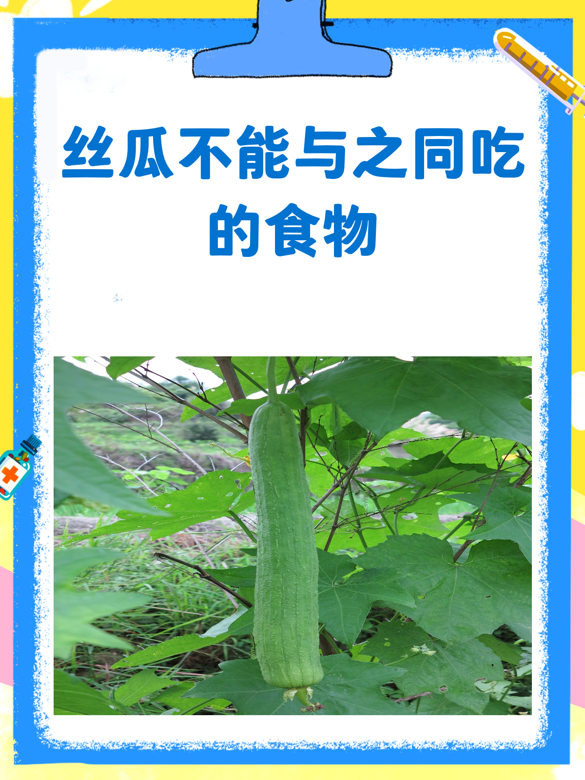 医生提醒!丝瓜别和这些一起吃,小心伤身