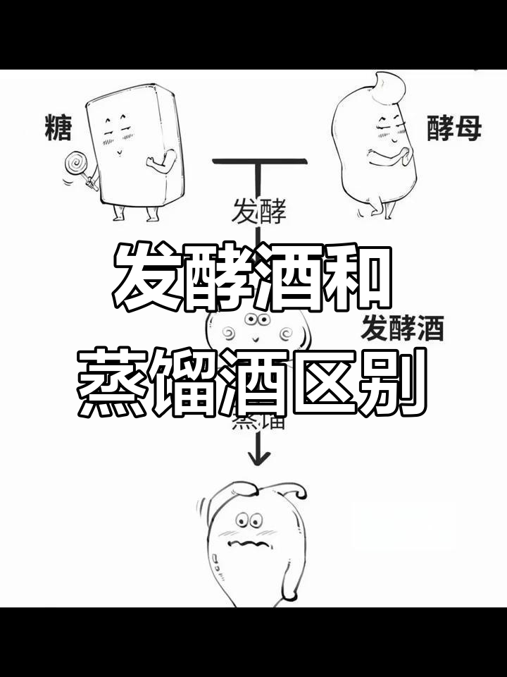 发酵酒与蒸馏酒的区别,你了解吗?