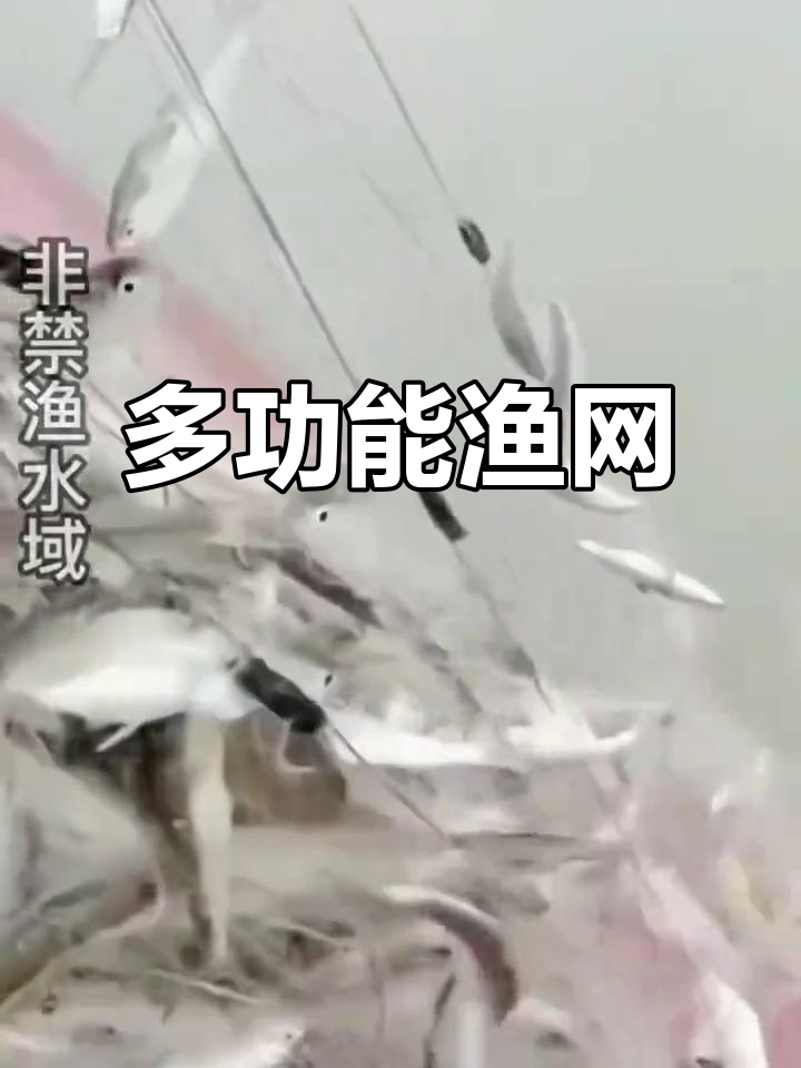 多种捕鱼网,适合不同鱼类捕获