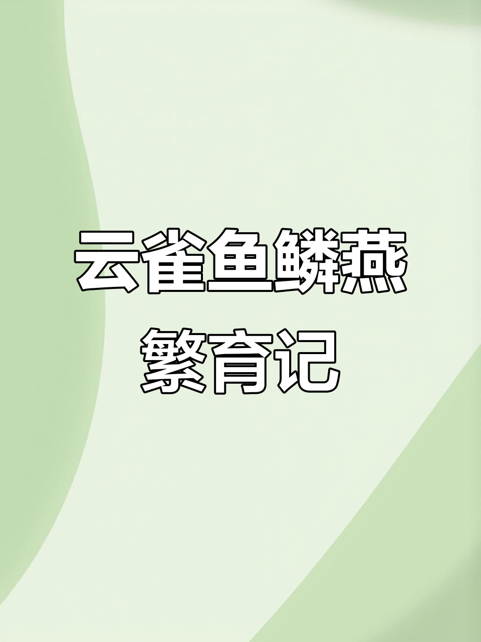 云雀鱼鳞燕人工繁殖揭秘,睡觉也能解决问题