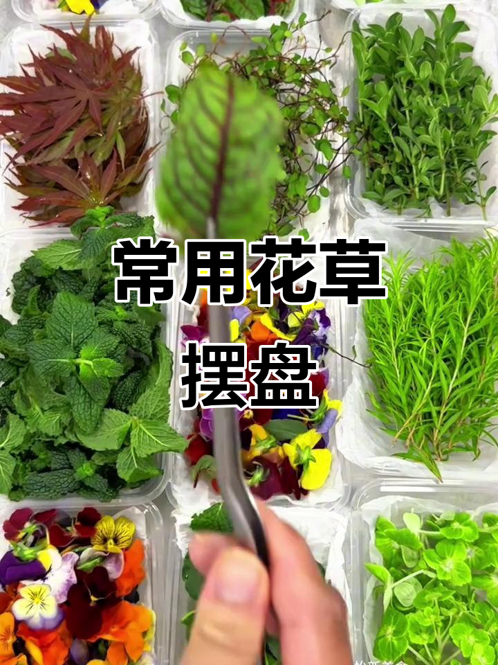 常见新鲜花草摆盘技巧,打造美丽餐桌装饰