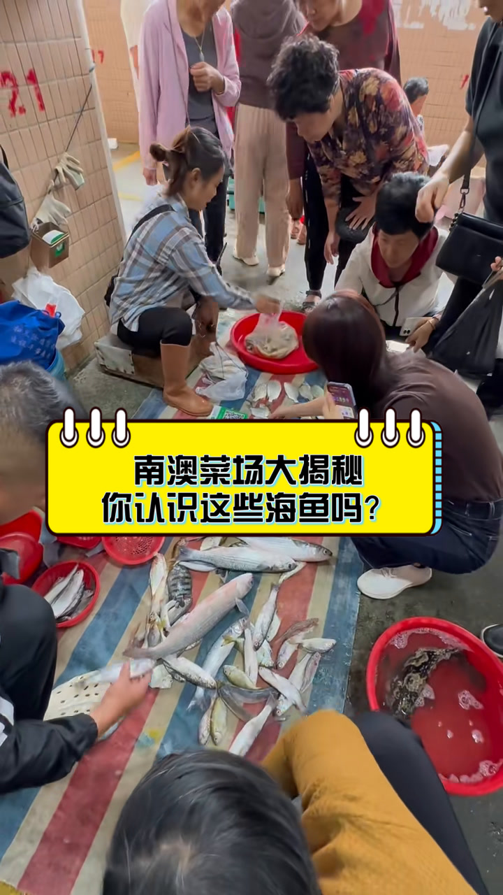 南澳菜场大揭秘,你认识这些海鱼吗?