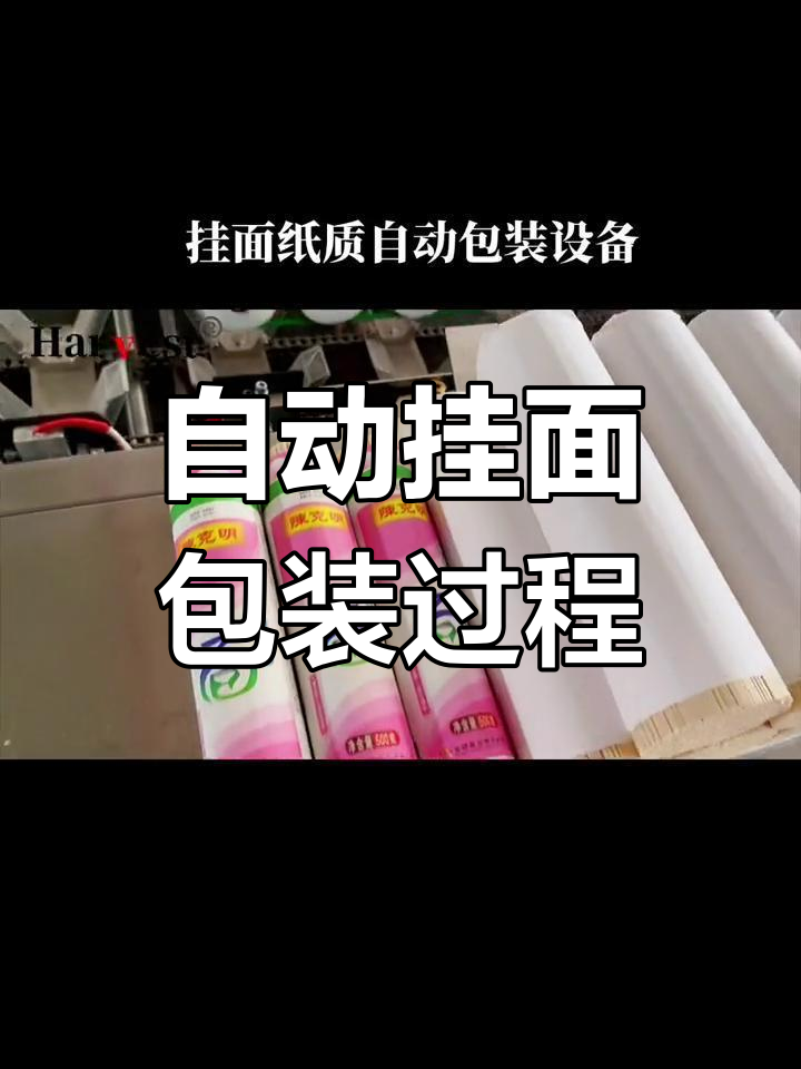 高精度纸质挂面包装机全流程揭秘