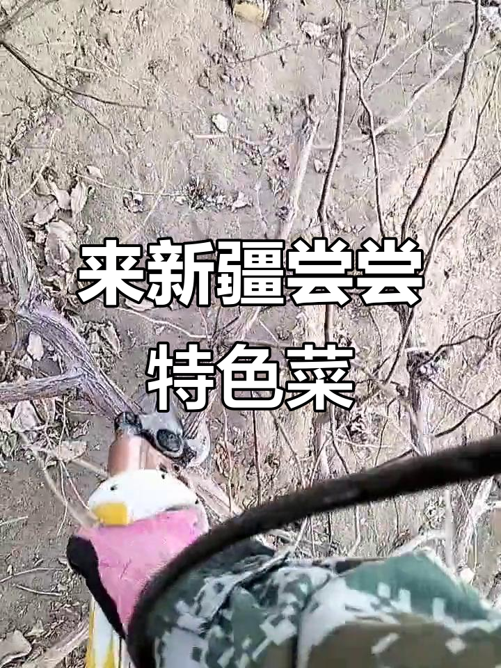 新疆美食大揭秘,柴火鸡、手抓饭等你来尝