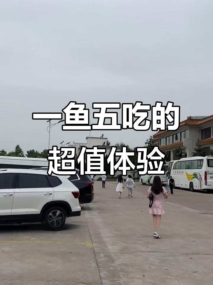 陆浑水库鱼宴,一鱼五吃超值套餐,四人餐七斤大银鱼