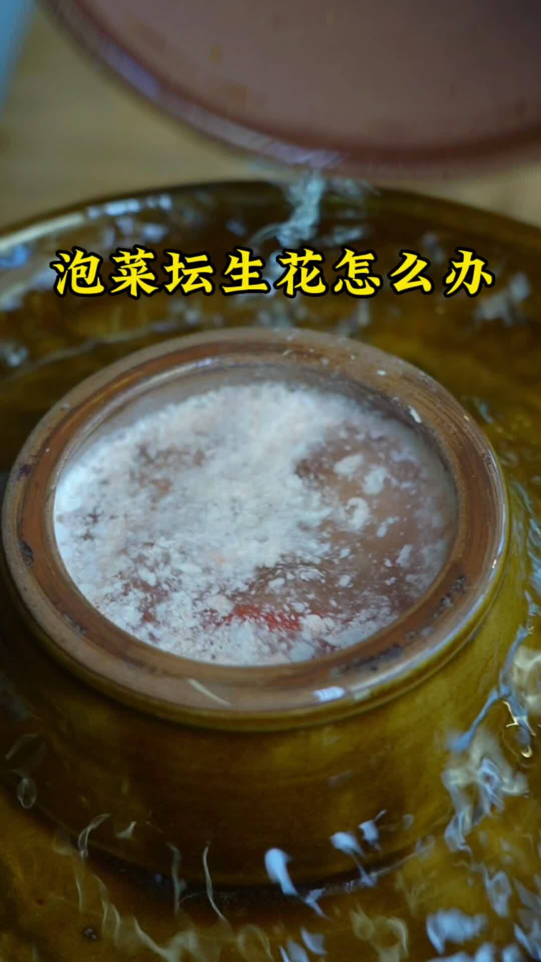 泡菜坛长白花先别急着扔,一个小妙招搞定