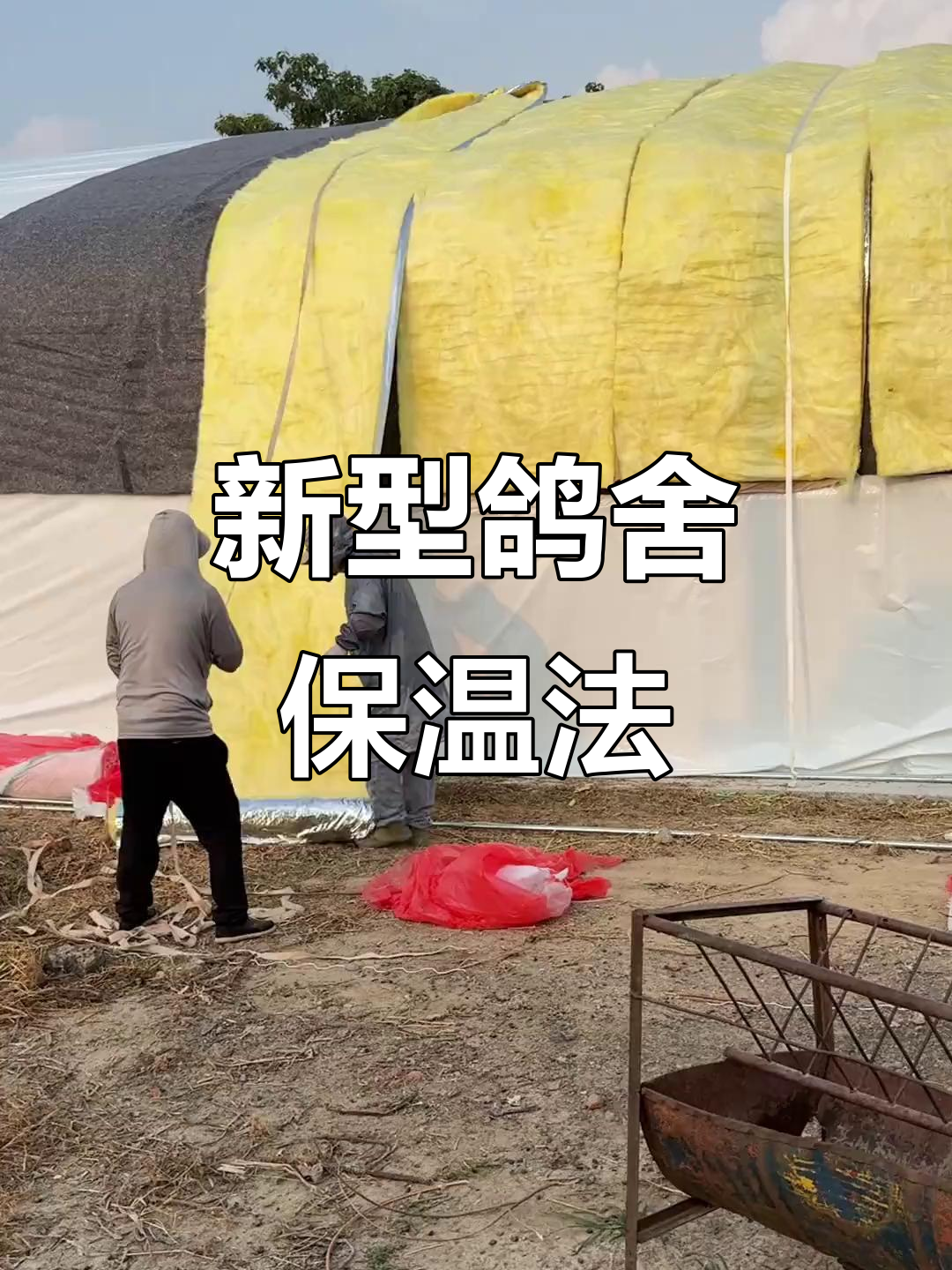 养殖大棚抗风雪，鸽子棚保暖技巧大揭秘