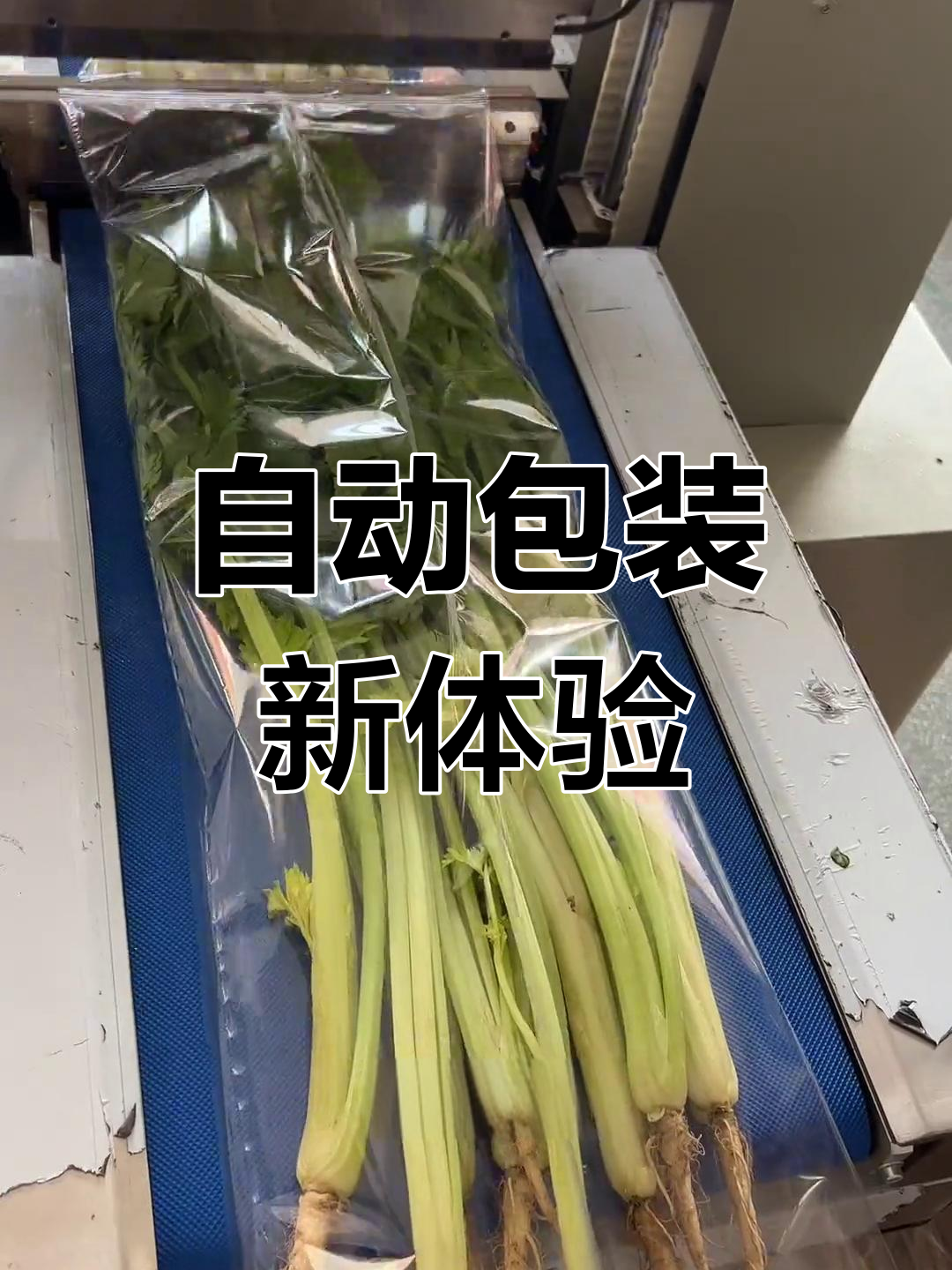 蔬菜包装升级,全自动机器提升效率与美观