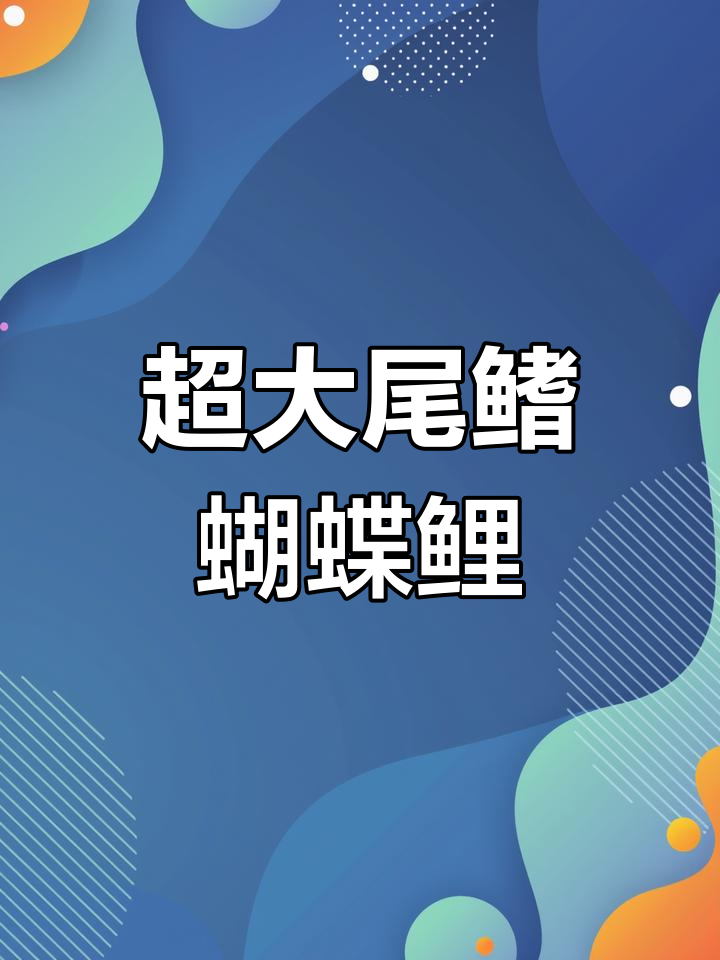 台湾贵妃蝴蝶鲤,超大尾巴如婚纱般飘逸