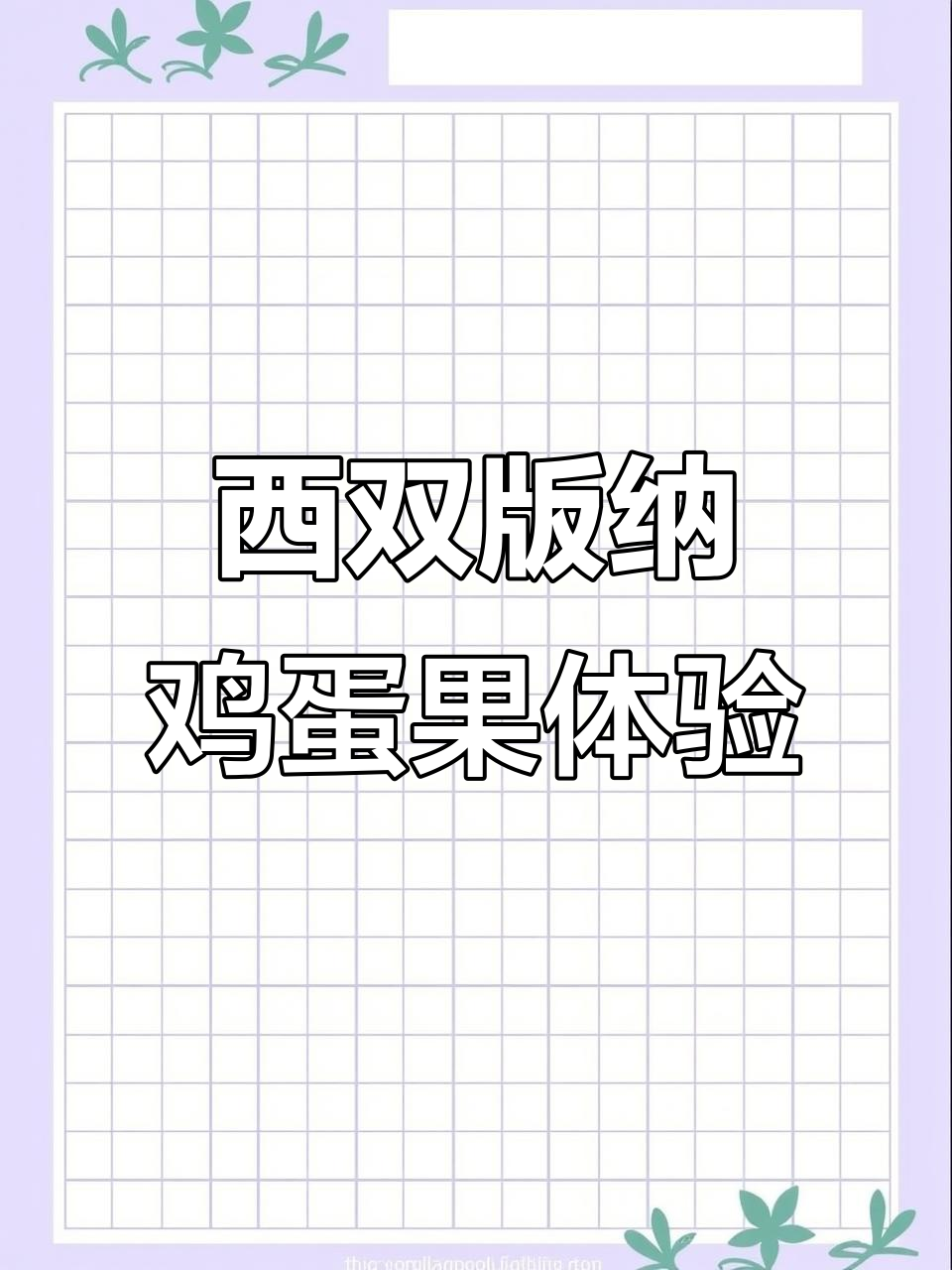 西双版纳鸡蛋果：25元一斤，熟透后口感丝滑如巧克力