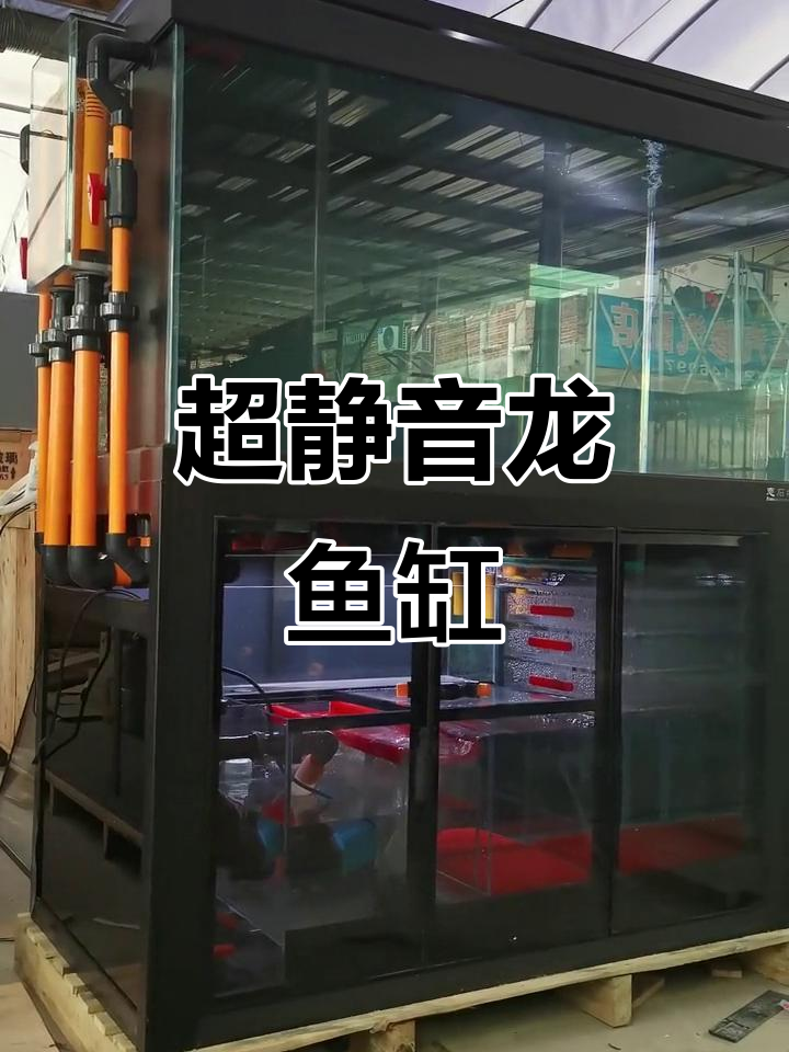 1.3米龙鱼缸全铝设计,超静音低流系统,双上水与背景更换功能