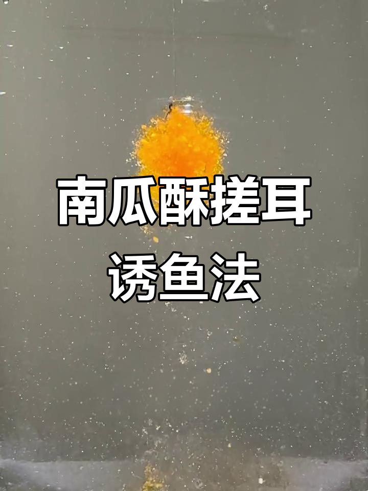 南瓜酥虾饵开制技巧,轻松钓获划口鲫鱼和鲤鱼