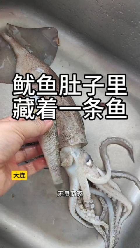 鱿鱼肚子里藏着鱼 辽宁大连,市民在开发区东山早市买回鱿鱼肚子里藏着鱼。拍摄者说:开发区东山