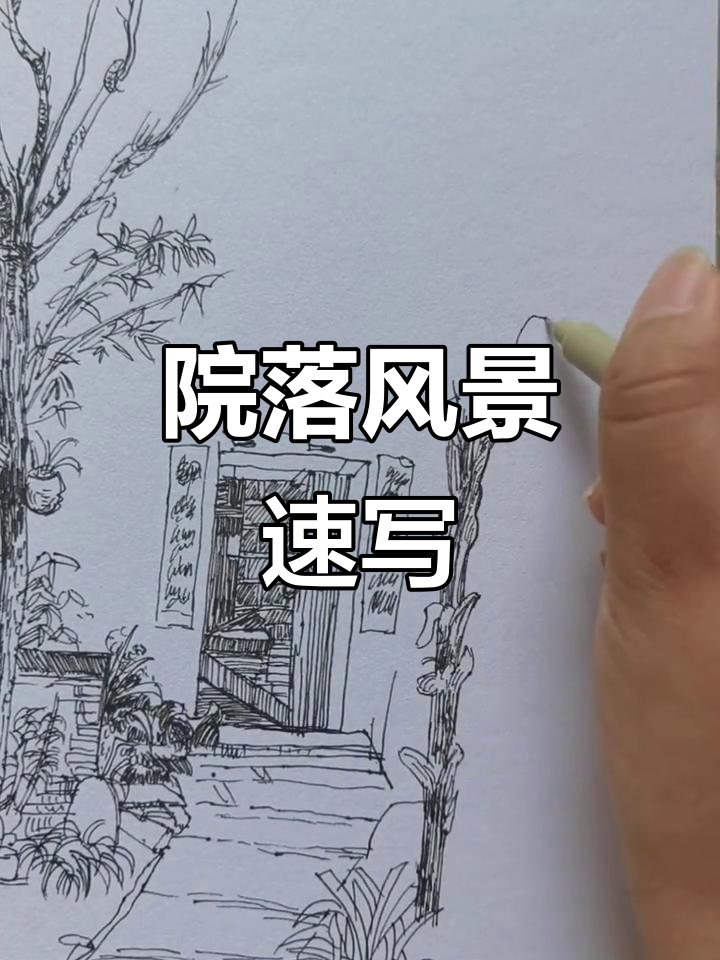 院落风景速写,捕捉自然之美