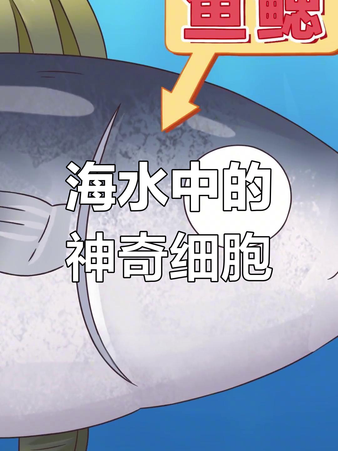 海鱼为何能在咸水中生存?