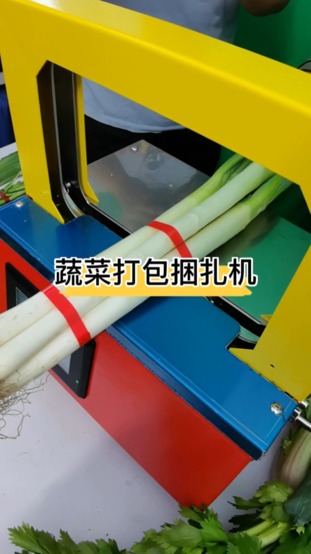 蔬菜捆扎机