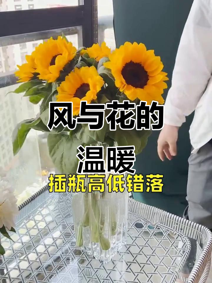 任何华丽的词藻,都不及此刻微风与花开的温柔和你