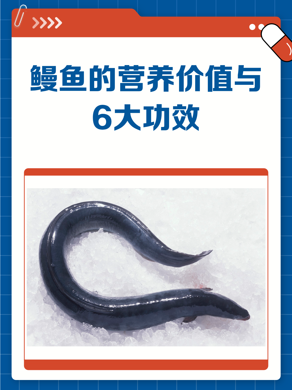 鳗鱼竟有这么多好处！营养价值大揭秘