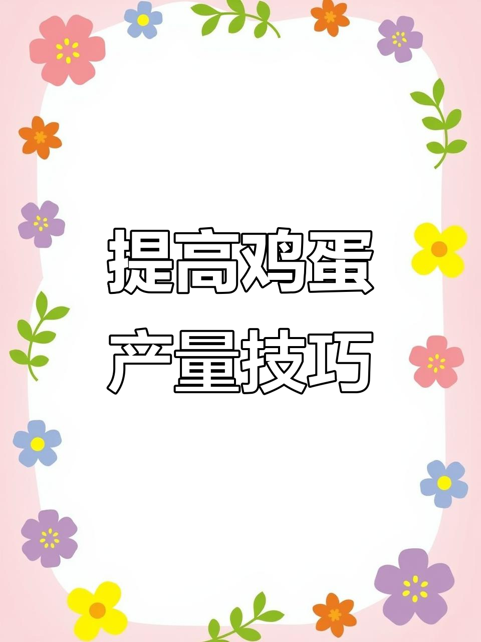 鸡不下蛋怎么办?教你简单方法提高产蛋率