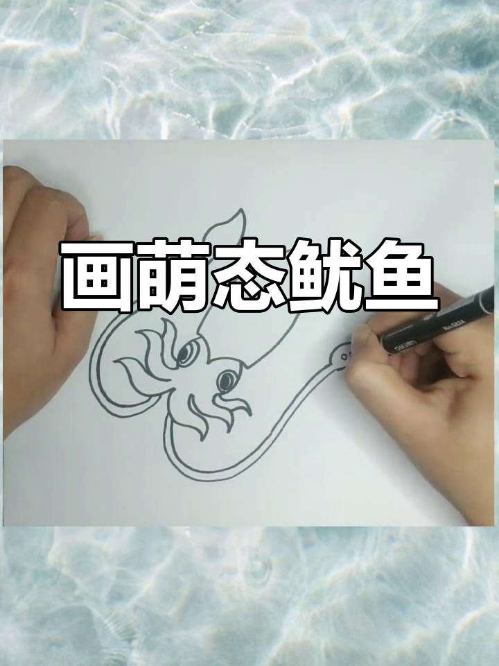 绘制可爱鱿鱼步骤详解