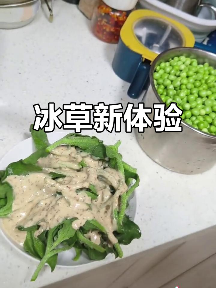 10月首尝冰草,配零糖酱,清新美味!