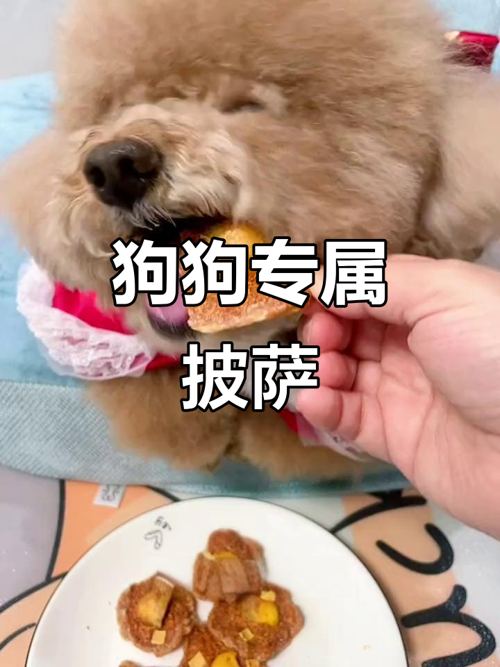 小狗也能吃披萨,酥脆香浓,营养满满