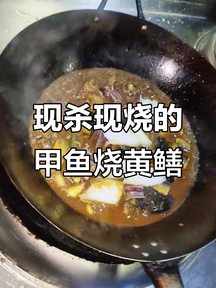 甲鱼烧黄鳝，高压锅炖出美味佳肴