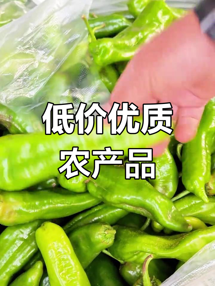 新鲜蔬菜产地直发,价格实惠