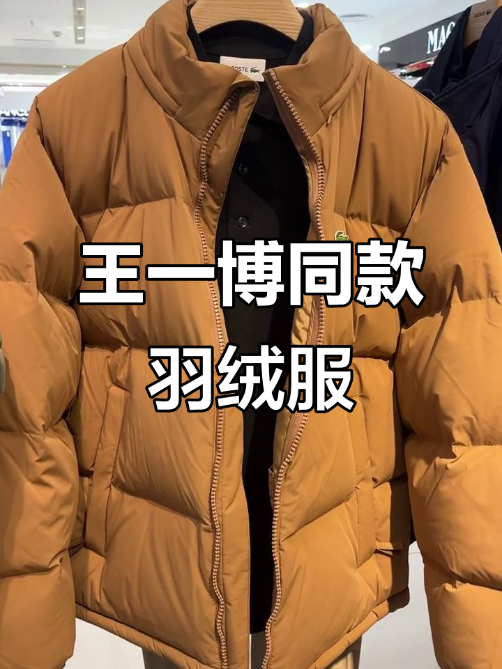 法国鳄鱼羽绒服,王一博同款搭配推荐