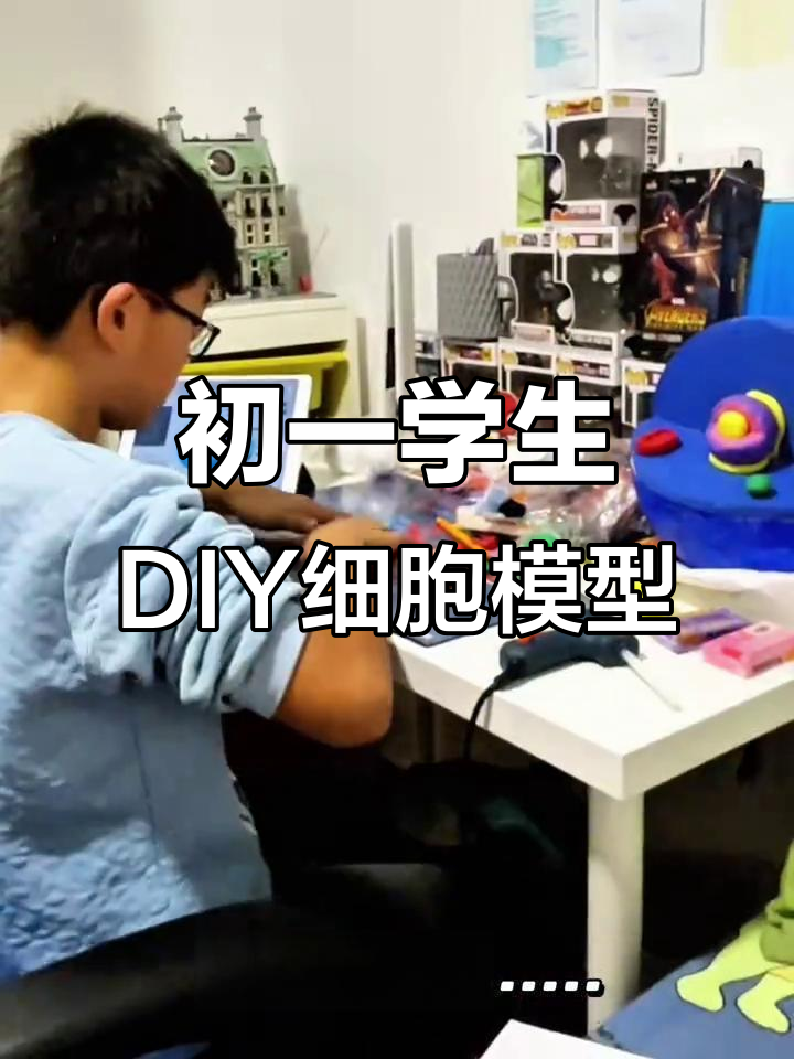 从课本到动手做,初一学生打造动物细胞模型