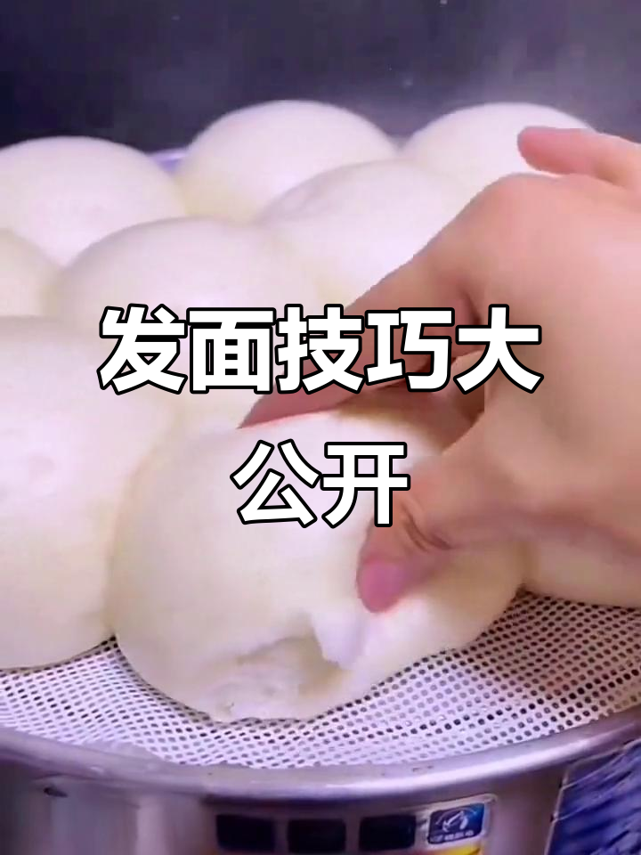 蒸馒头、花卷、包子,发糕和烙饼都能轻松搞定!