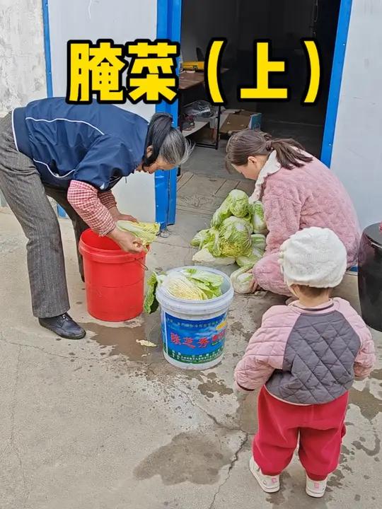 腌菜上 冬天我们北方农村人的腌缸菜是一个冬季饭桌上必不可少的小菜,下上一锅面,就着散饭吃,