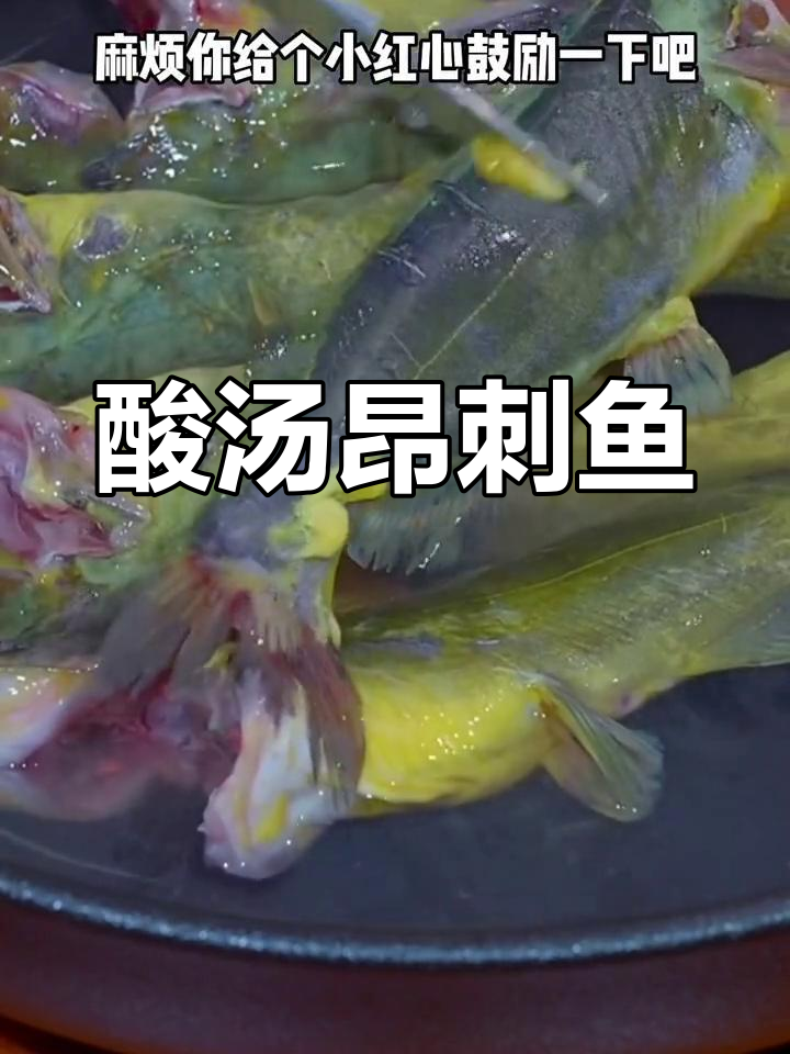 酸汤昂刺鱼,轻松做出美味过瘾的酸爽口感