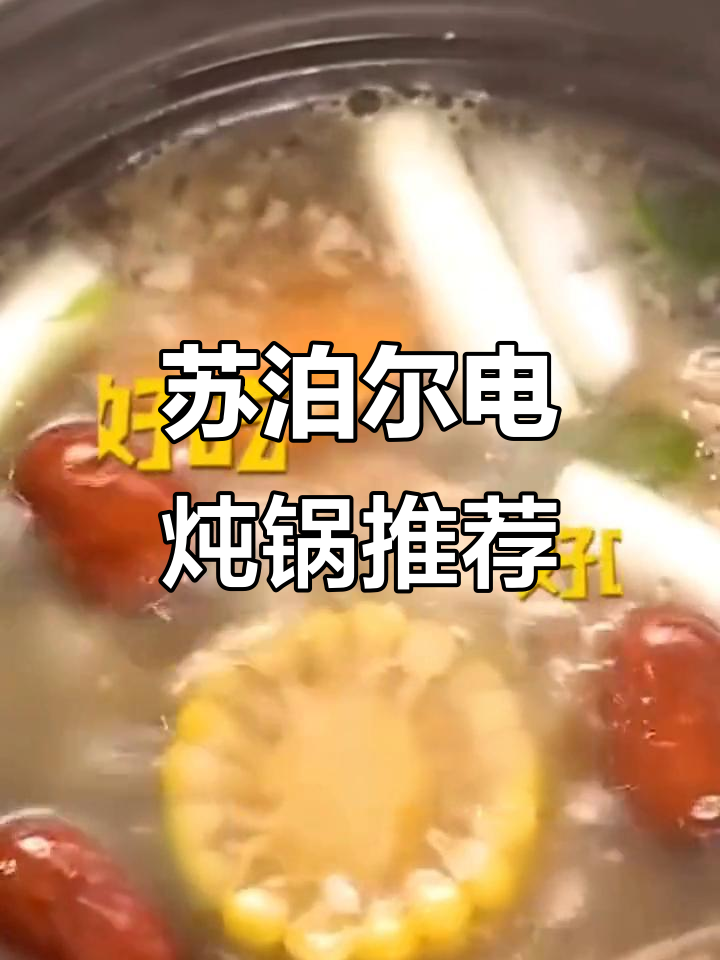 苏泊尔紫陶电炖锅,营养汤与甜品轻松做