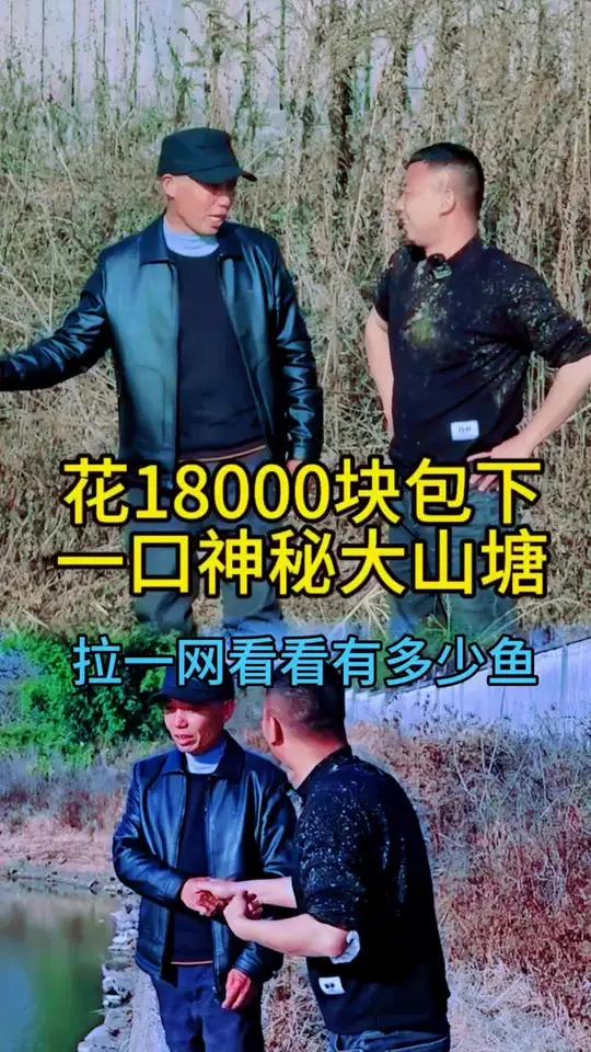 飞哥花18000块包下一口神秘鱼塘,塘里二十几只鸭子莫名失踪,只留一只究竟是为何呢