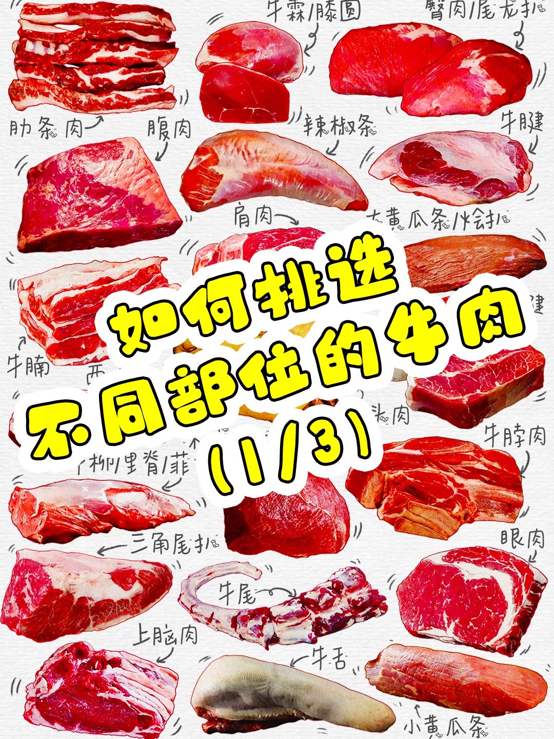 教你如何挑选好吃的牛肉 牛肉的分类有哪些