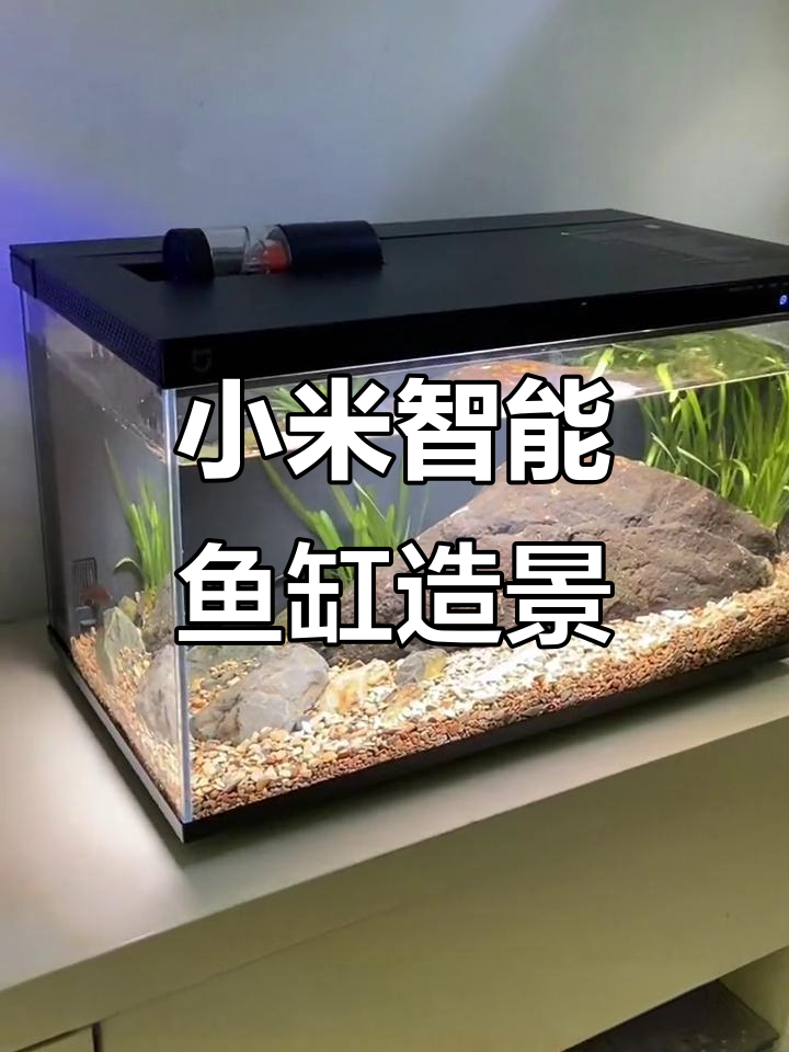 小米智能鱼缸造景全攻略,轻松打造溪流景观