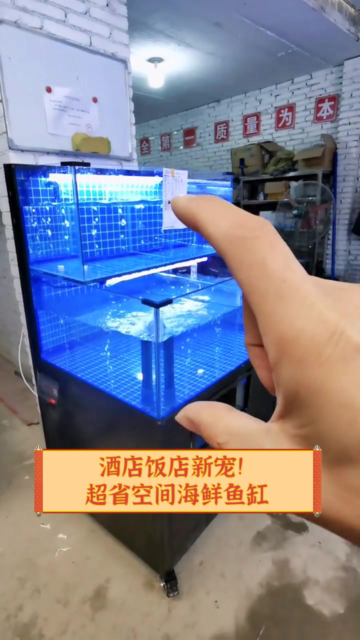 酒店饭店新宠!超省空间海鲜鱼缸