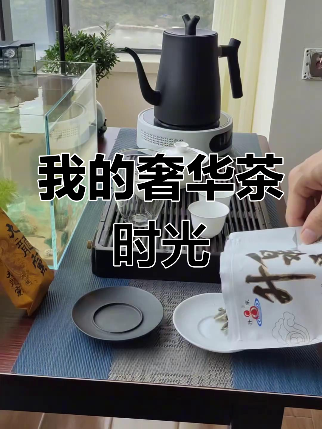 喝茶日常:奢侈一把,品尝九龙窠肉桂,小叶赤楠竟然还活着